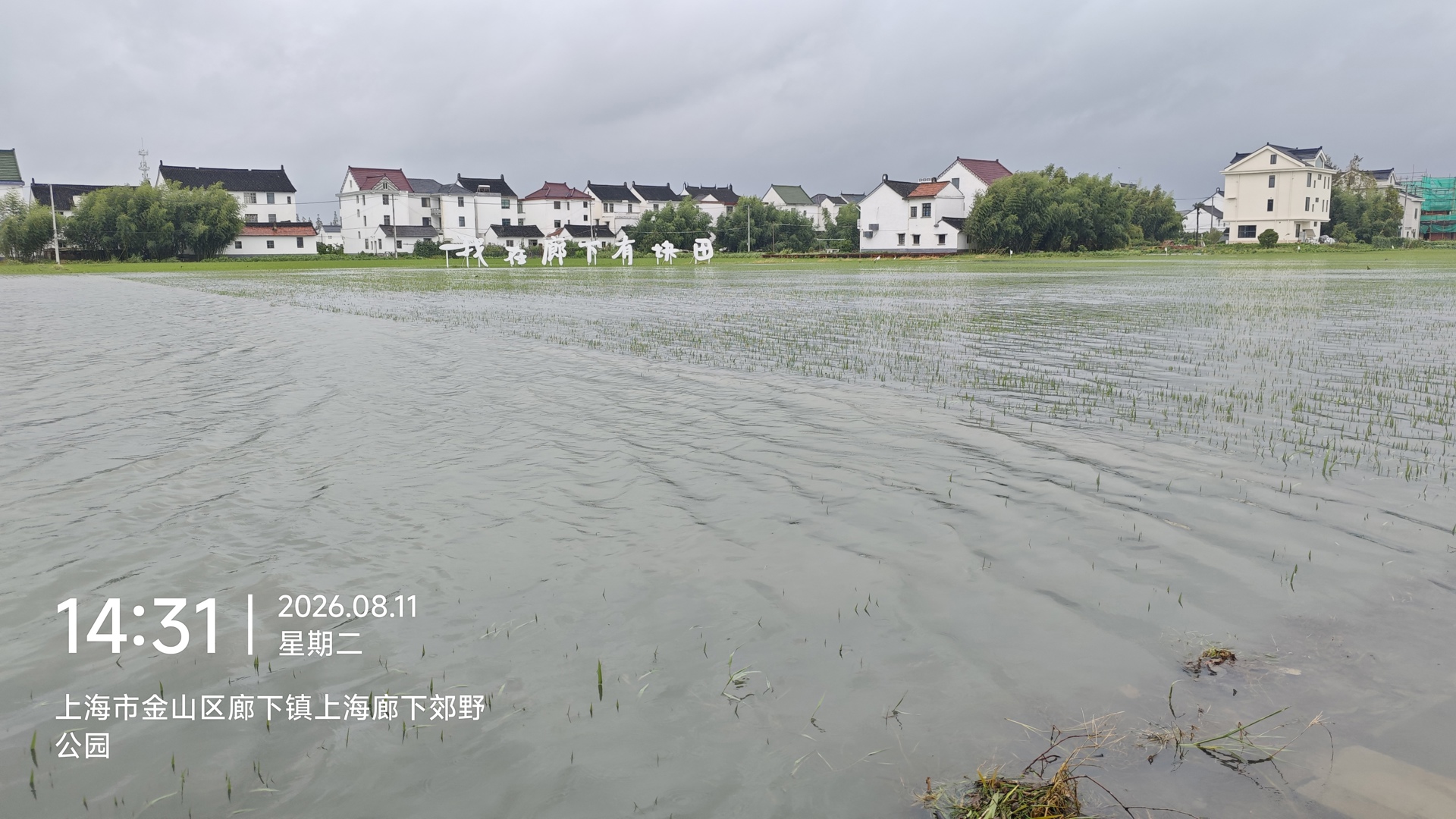 微信图片_20260825105706_3_30淹水照片