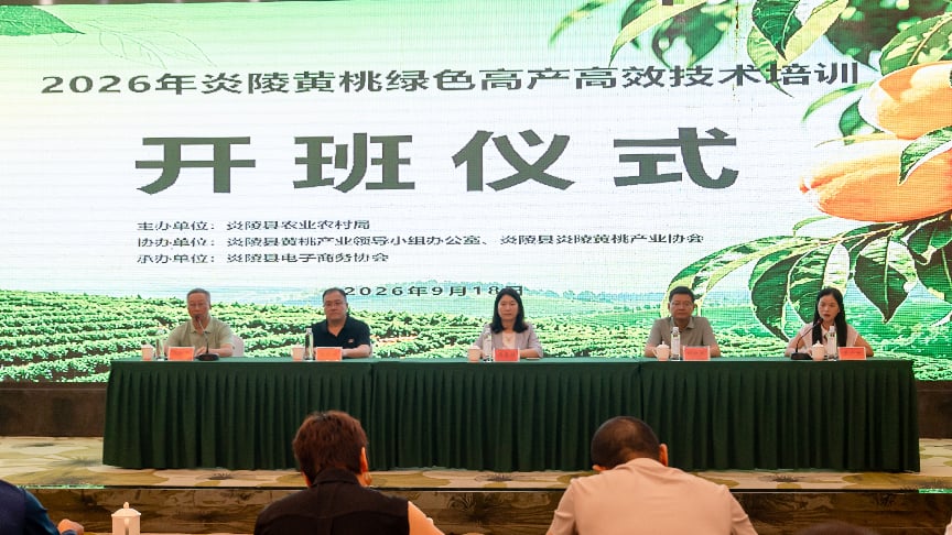 图片3(1)