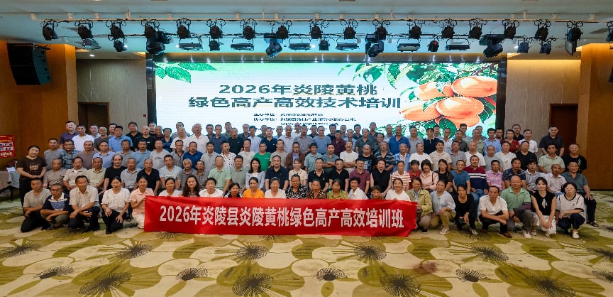 图片1(1)