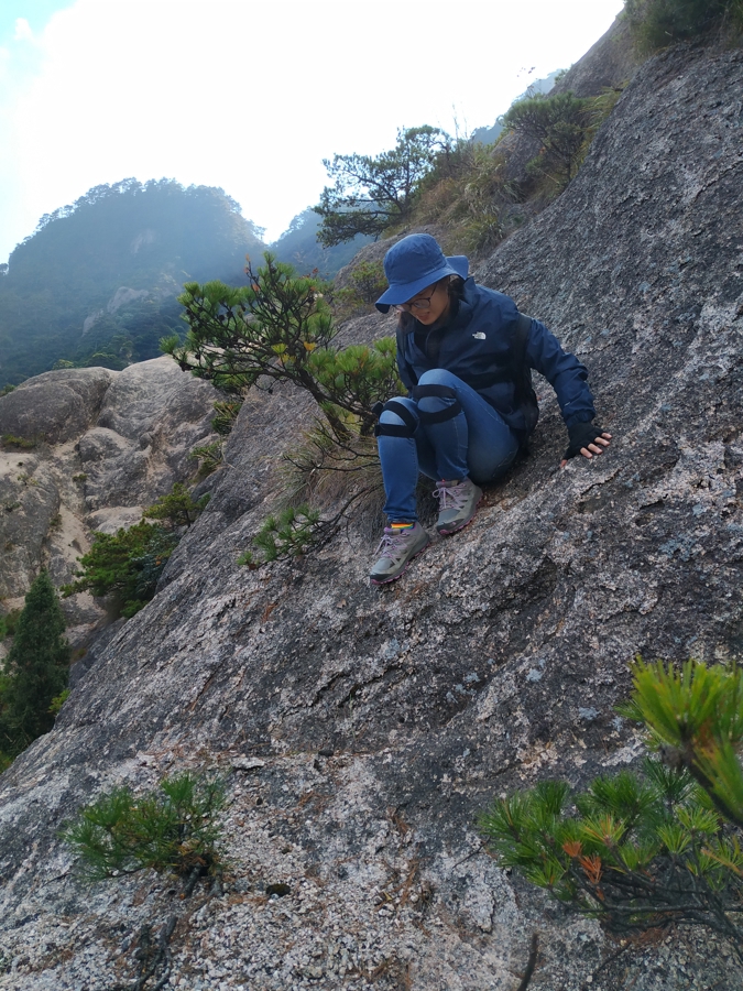研究团队采集黄山大型真菌标本（市农科院供图）