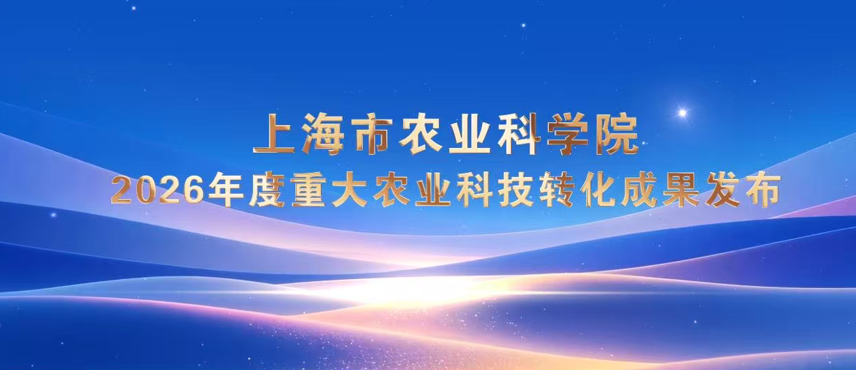 b6f791c543de41d69b3af467cc6a6b36.png