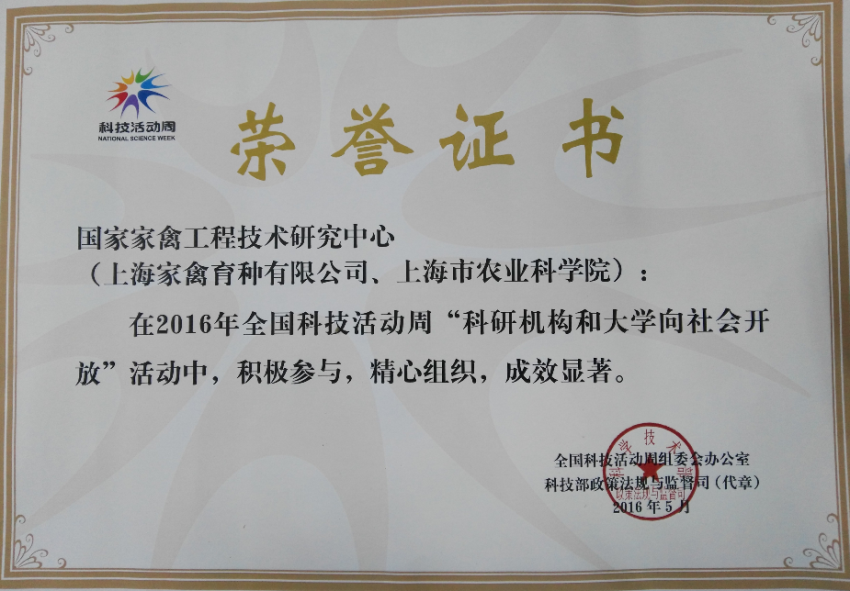 8eb8da3556054cf5817d489e06ff35e2.Png