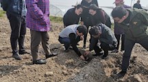 我院科技人员到奉贤四团镇新桥镇开展生态种养技术指导