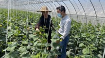 急企业和种植户所急，生态所专家深入基层开展服务