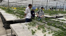 急企业和种植户所急，生态所专家深入基层开展服务