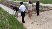 生态所科技人员赴崇明新村乡开展乡村振兴科技服务