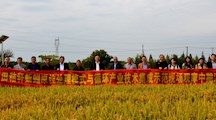 生态所承担的上海市科技兴农推广项目顺利通过中期检查