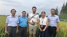 【农民日报】钟爱“天敌” 造福都市 ‎——上海市农科院生态所害虫生态防控科研团队侧记
