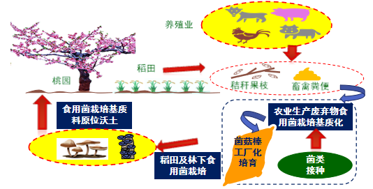 6383785b61024f13a2dedb1ab68b25e3.png