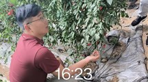 生态所博士后入选人社部第133批博士后科技服务团 赴山东菏泽开展智力帮扶