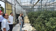 生态所科技人员赴南通市常乐镇进行调研交流