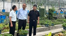 华东师范大学孙卓院士莅临我院庄行试验基地指导交流