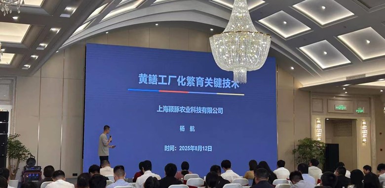 聚焦产业需求 赋能农业未来——黄鳝工厂化繁育成果亮相崇明长三角农业硅谷路演