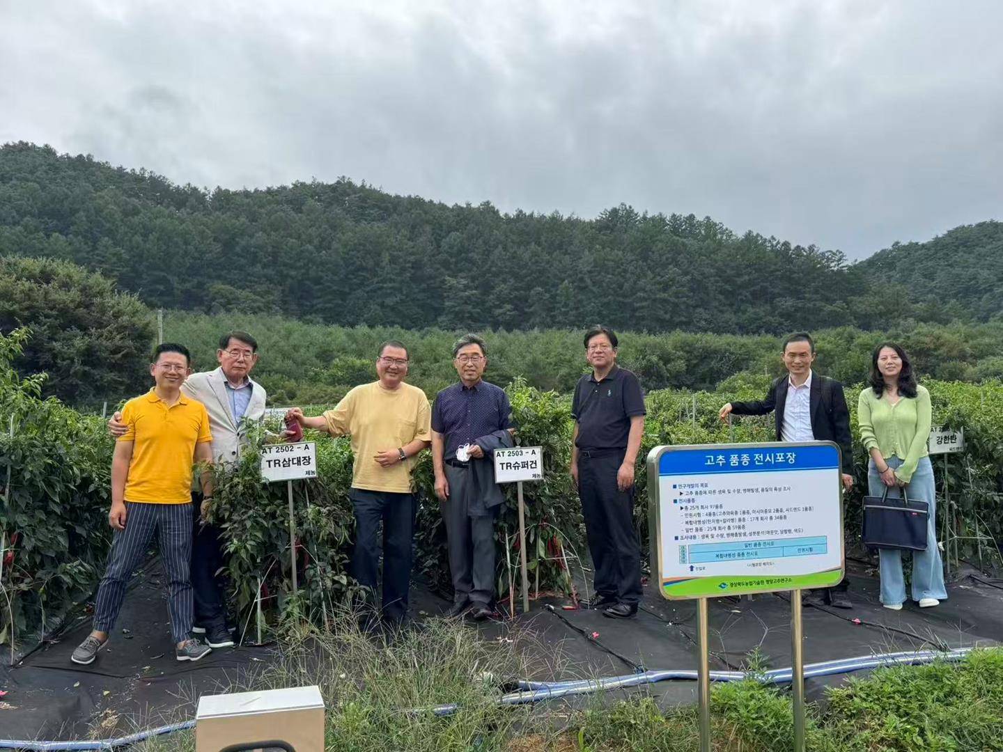 c71f209ab87f447ba595f6c478e6d88c.jpg c71f209ab87f447ba595f6c478e6d88c.jpg