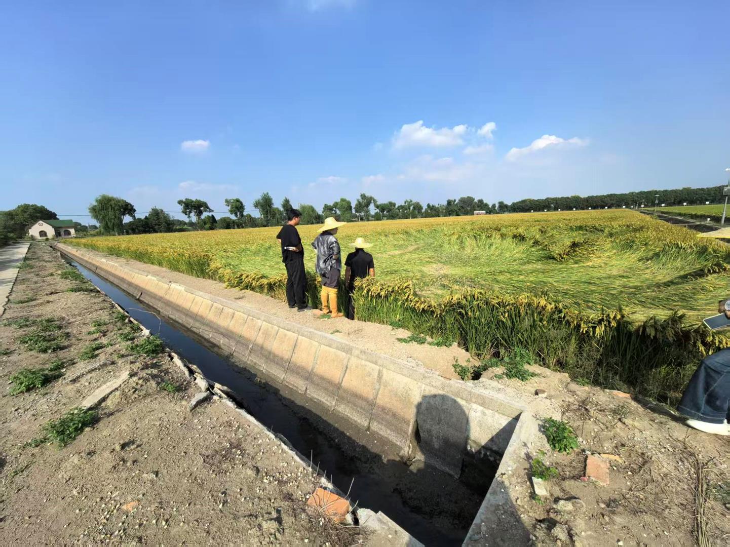 b5274f994b29476699dcc43e34de249f.jpg b5274f994b29476699dcc43e34de249f.jpg