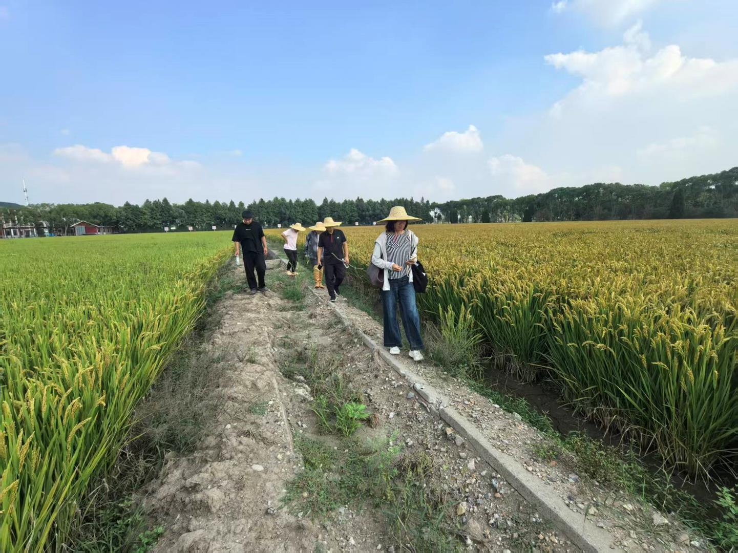 bdc56d1403c5402490b3b7c56dbae9bb.jpg bdc56d1403c5402490b3b7c56dbae9bb.jpg