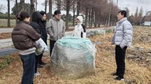 生态所科技人员赴奉贤青村、青浦重固开展水稻秸秆田边发酵技术示范与应用效果跟踪