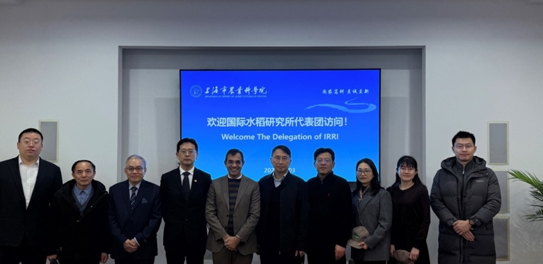 国际水稻研究所代表团一行访问我院