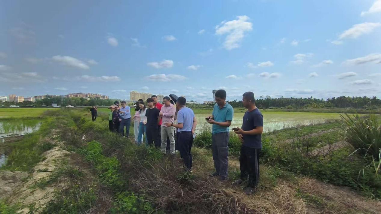 5c72e2e48056635ff3b144acefdd3c01