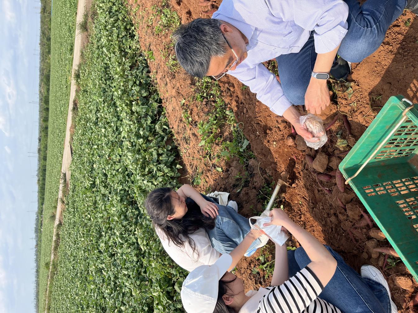 dccade7afde34da8e41fee4fb46d134b