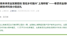 我院专家指导的农业绿色低碳技术科技小院被上海市科协专题报道