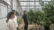生态所科技人员赴青浦区上海玙坤农业科技发展有限公司开展微生物制剂技术调研与指导