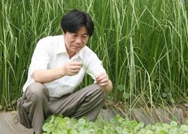 宋祥甫　研究员　作物栽培和污染生态学