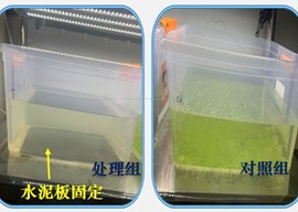 光催化除藻抑藻技术