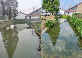 河湖缓冲带生态修复及水环境治理成套技术
