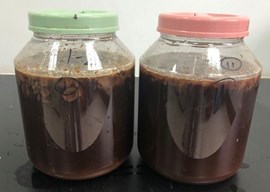 一种利用水果废弃物制备酵素肥料的技术及其应用