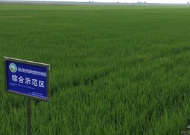 滩涂土壤地力提升技术