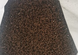 餐厨垃圾制备系列有机肥料及应用