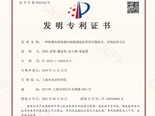 一种检测灰霉病菌对啶酰菌胺抗性引物组合、试剂盒和方法