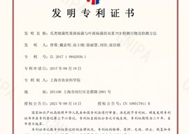 瓜类细菌性果斑病菌与叶斑病菌的双重PCR检测引物及检测方法