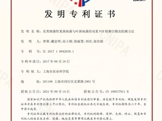 瓜类细菌性果斑病菌与叶斑病菌的双重PCR检测引物及检测方法