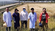 【先行区共建】生物所科技人员赴金山区开展大麦夏收技术指导
