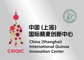 中国（上海）国际藜麦创新中心