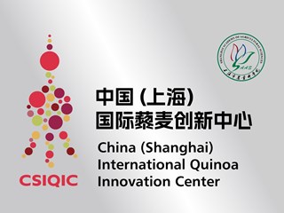 中国（上海）国际藜麦创新中心