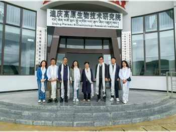 以藜为媒，开辟沪滇合作新赛道