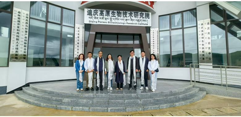 以藜为媒，开辟沪滇合作新赛道