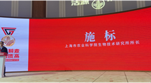 沪冀沪蒙“双向奔赴”，共筑藜麦产业新高地