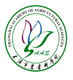 d44ea7216cef4f0a8a15ca04cfd5c0be.Png