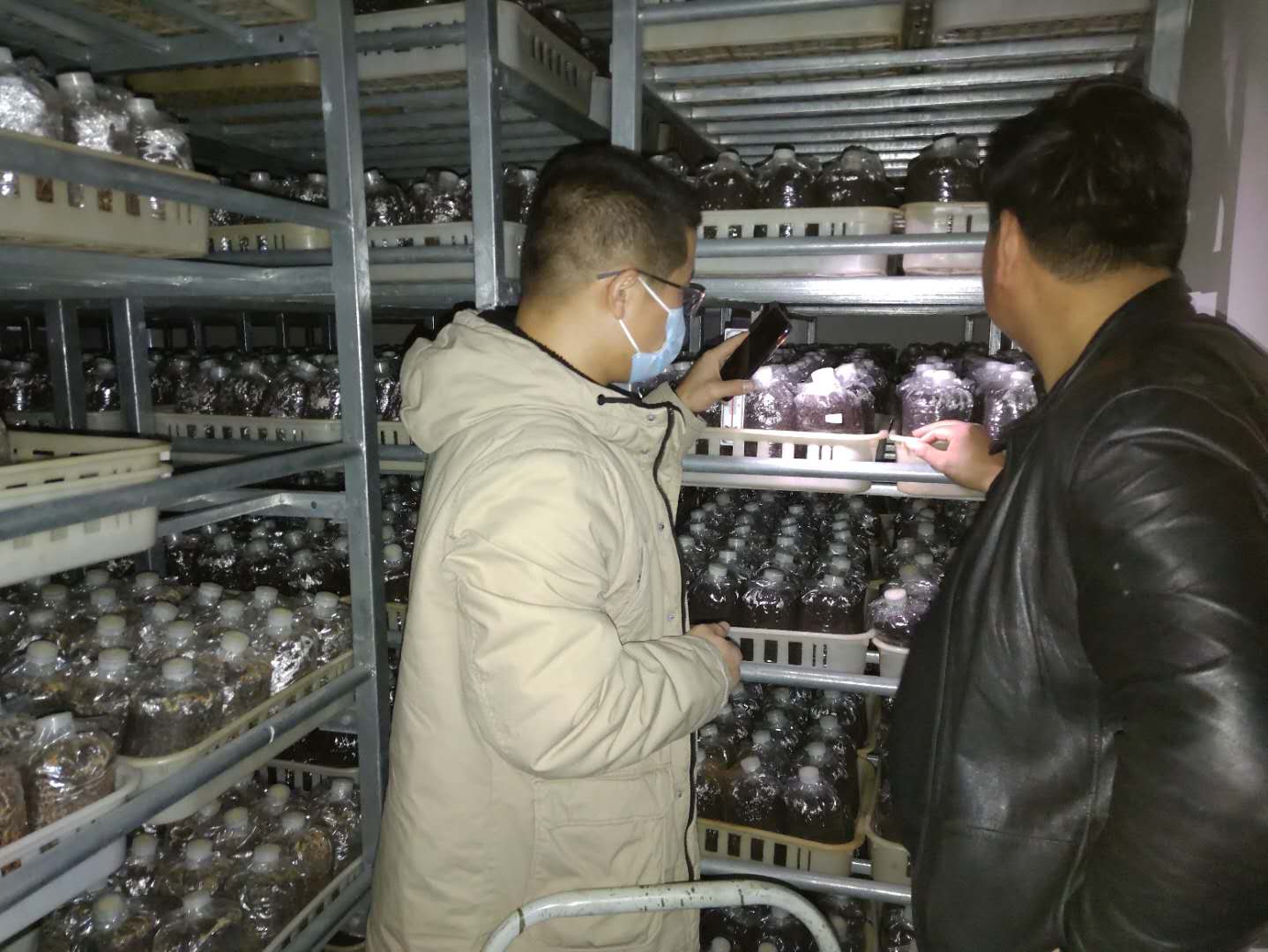 bcf1ef47e311423e88e05ea21dacb597.Jpeg