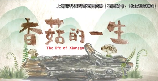 b1812120ec104d66b5b2349cd49a67b7.png