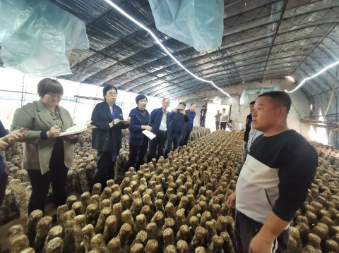 ​国家食用菌产业技术体系首席科学家赴辽宁建昌调研指导