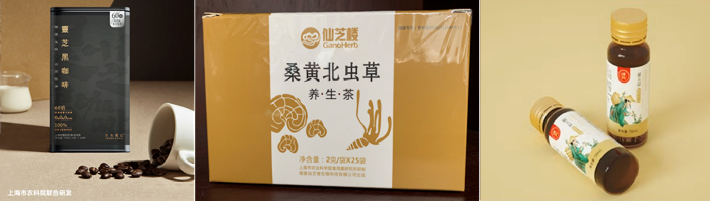 21042c1bb2f04062a30dfbeef67147d3.Png