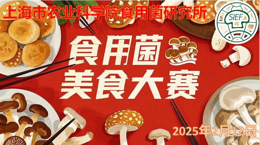 714d2d4be01e4fc59703322fb0895cce.Png