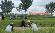 上海市食用菌产业技术体系稻秸秆原位利用模式现场会在浦东召开