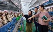 奉贤区卫健委赴我院共商医农协同发展新路径