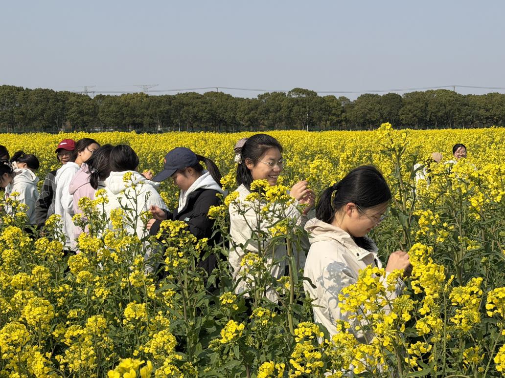 微信图片_20260312085406_692_330